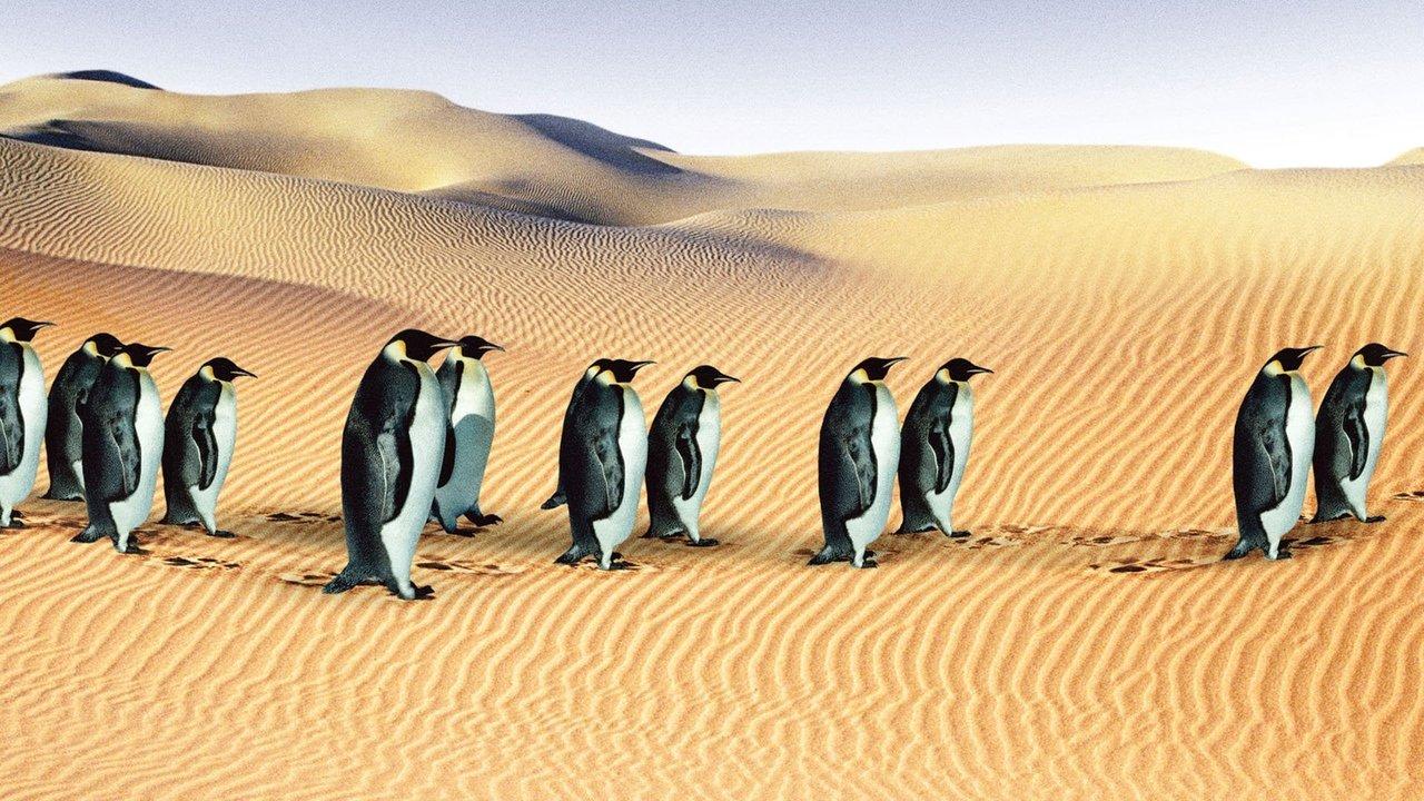 An Inconvenient Collection backdrop