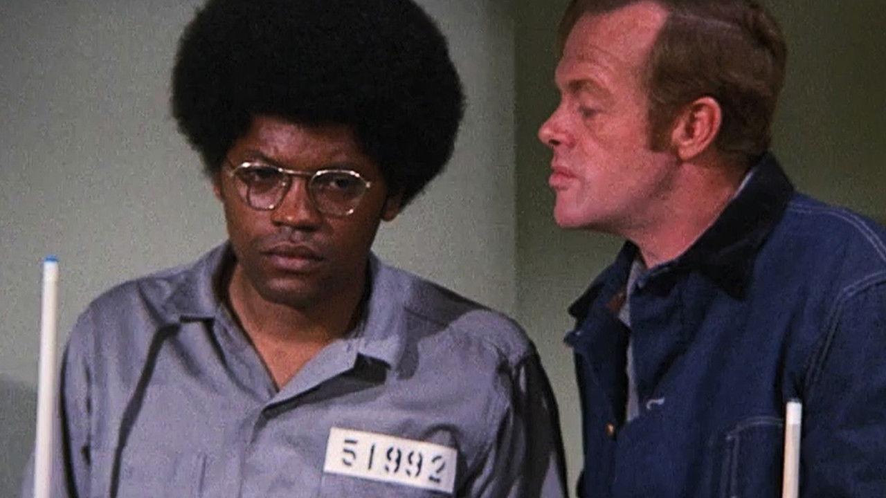 Peace Now -- Arly Blau