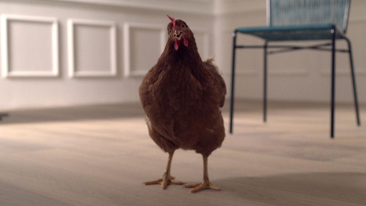 The Eye of the Hen backdrop