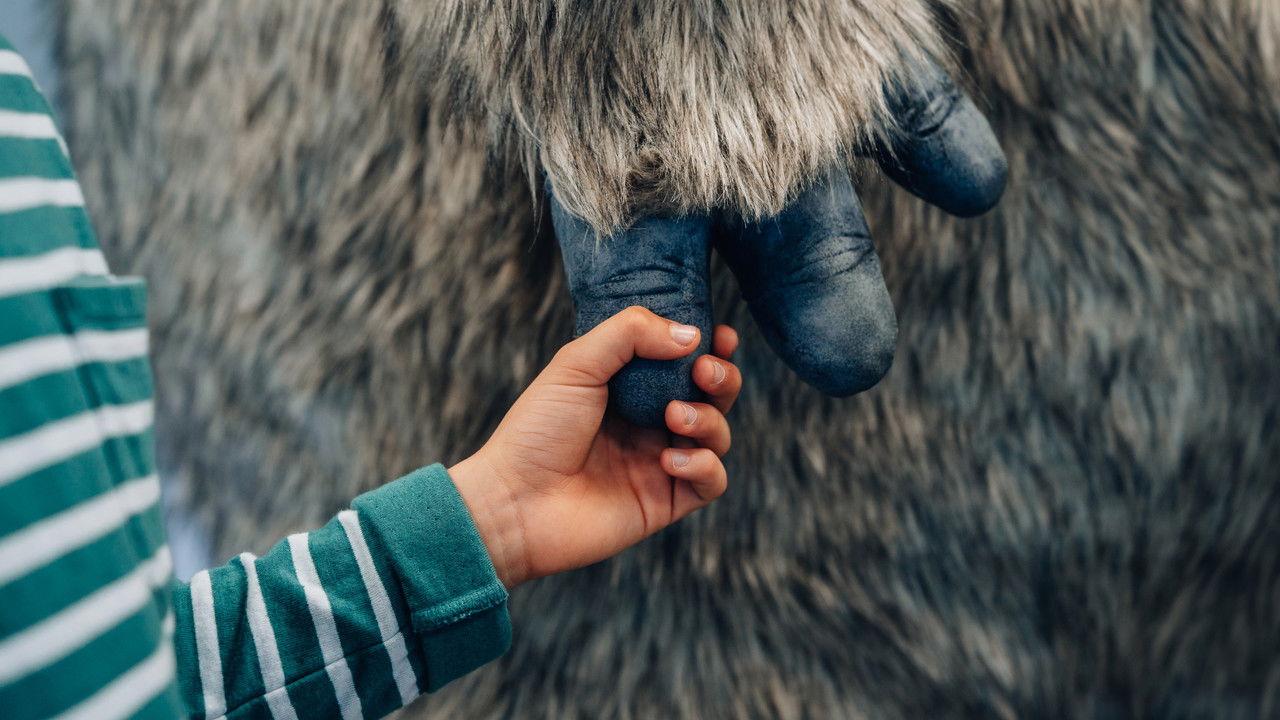 monster & me backdrop