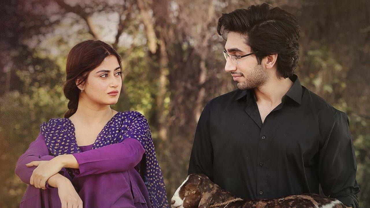 Zard Patton Ka Bunn backdrop