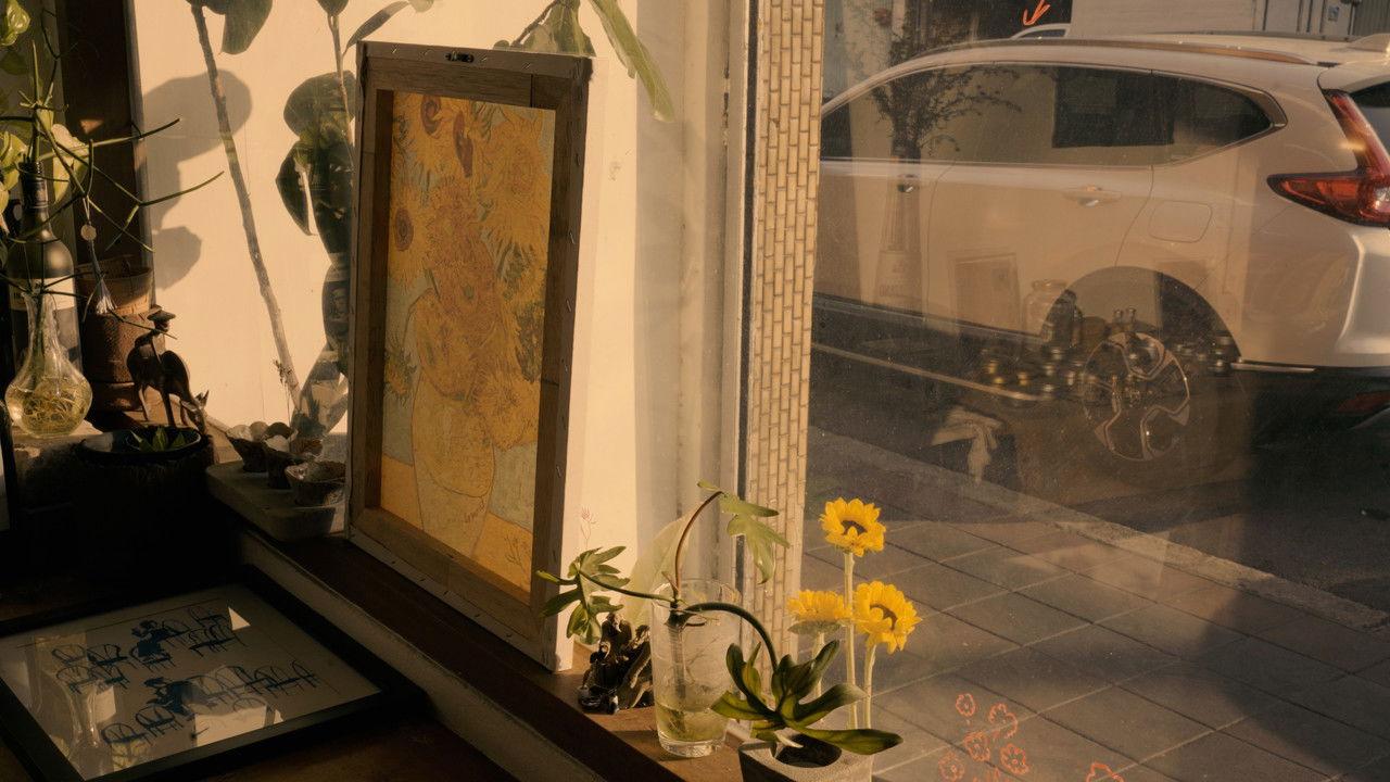 Window Flowers backdrop