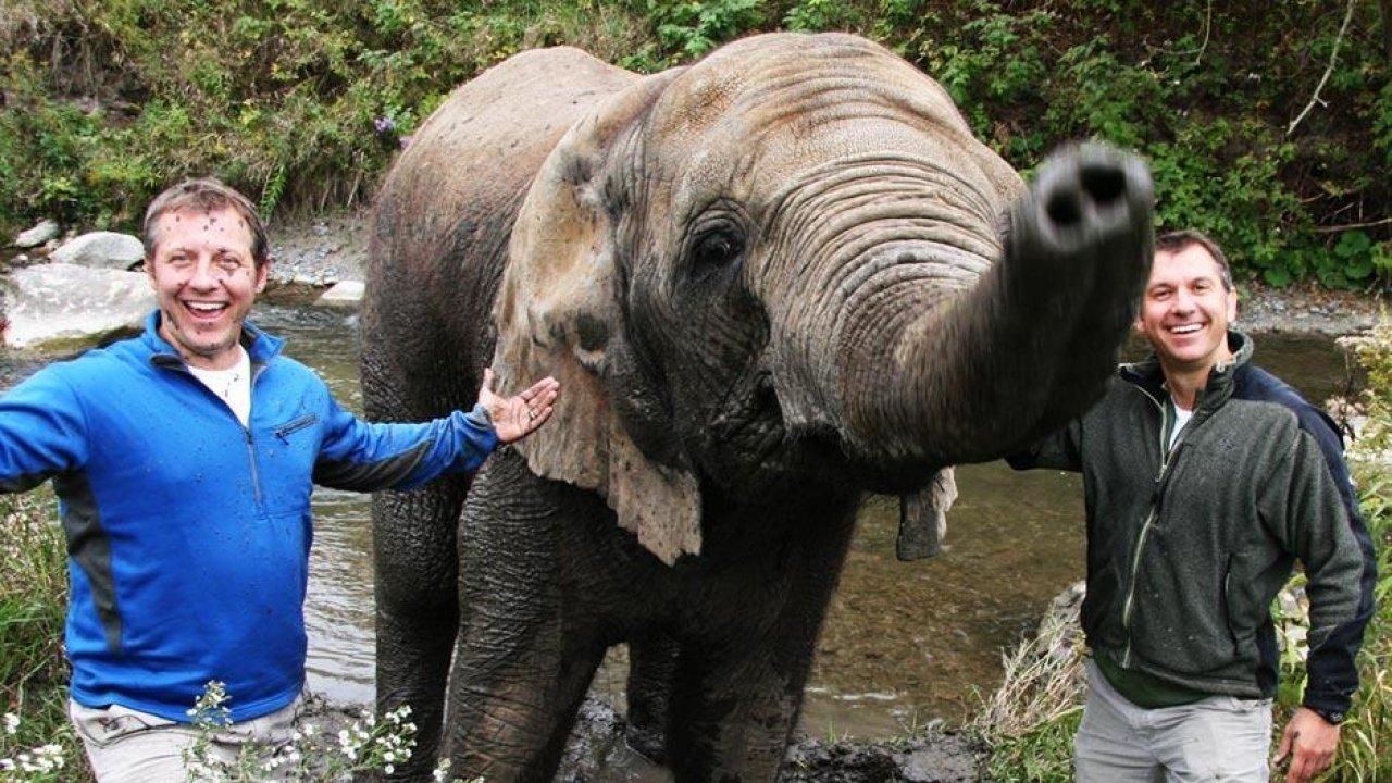 Kratts' Creatures backdrop