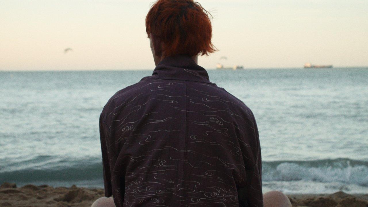 Howls to the Harbour backdrop