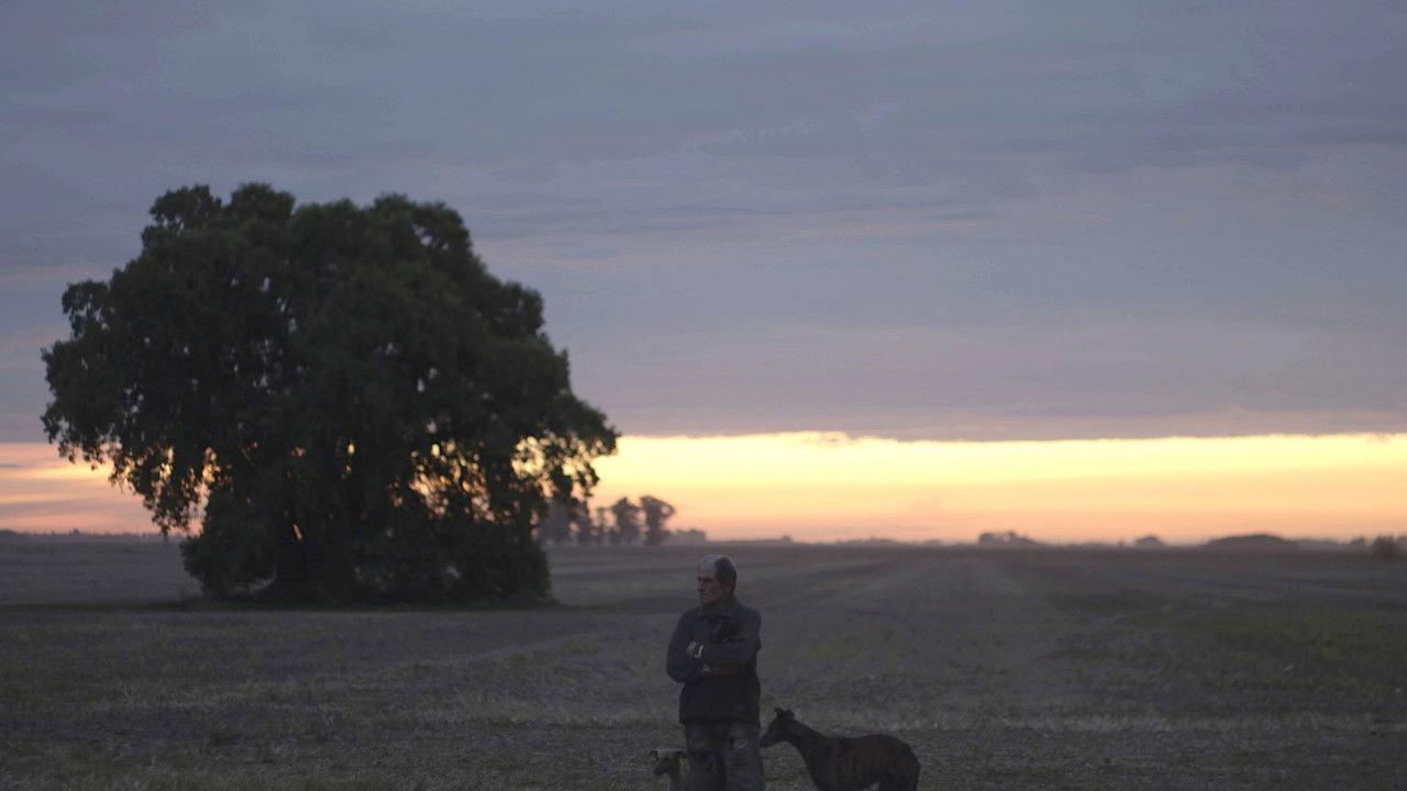 Man on the Plain backdrop