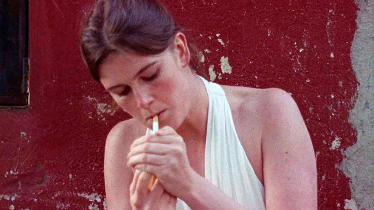 Celebration backdrop