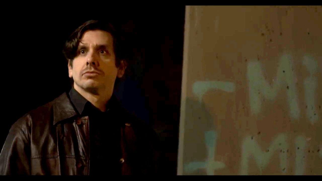 Antarctic bear backdrop