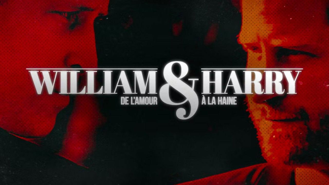 William et Harry : de l'amour à la haine backdrop