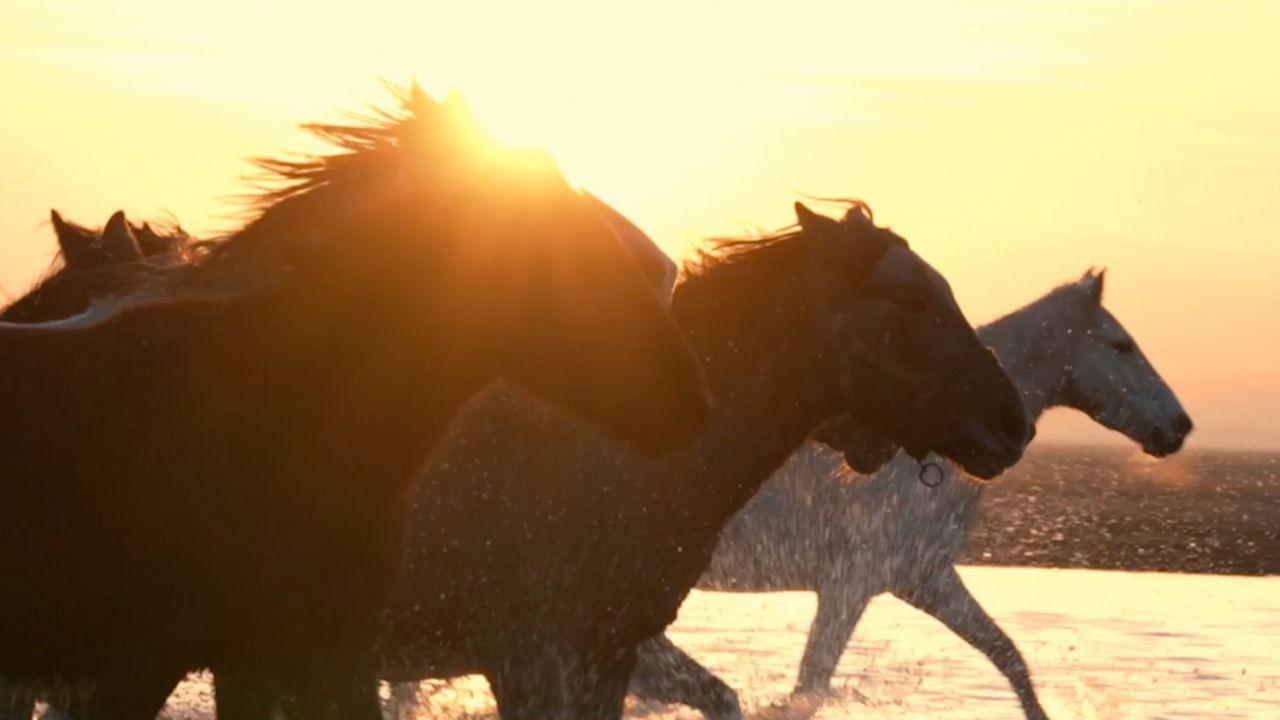 A Place to Go backdrop