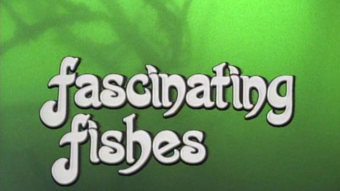 Fascinating Fishes