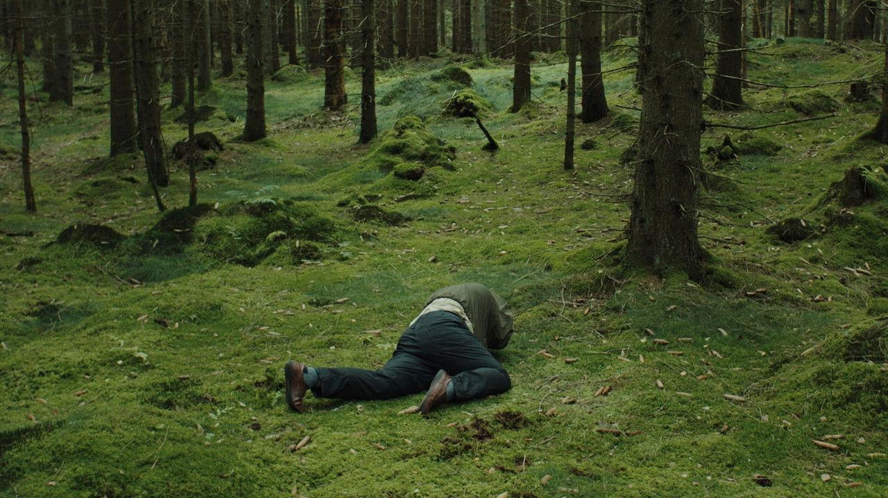 Forest Bathers backdrop