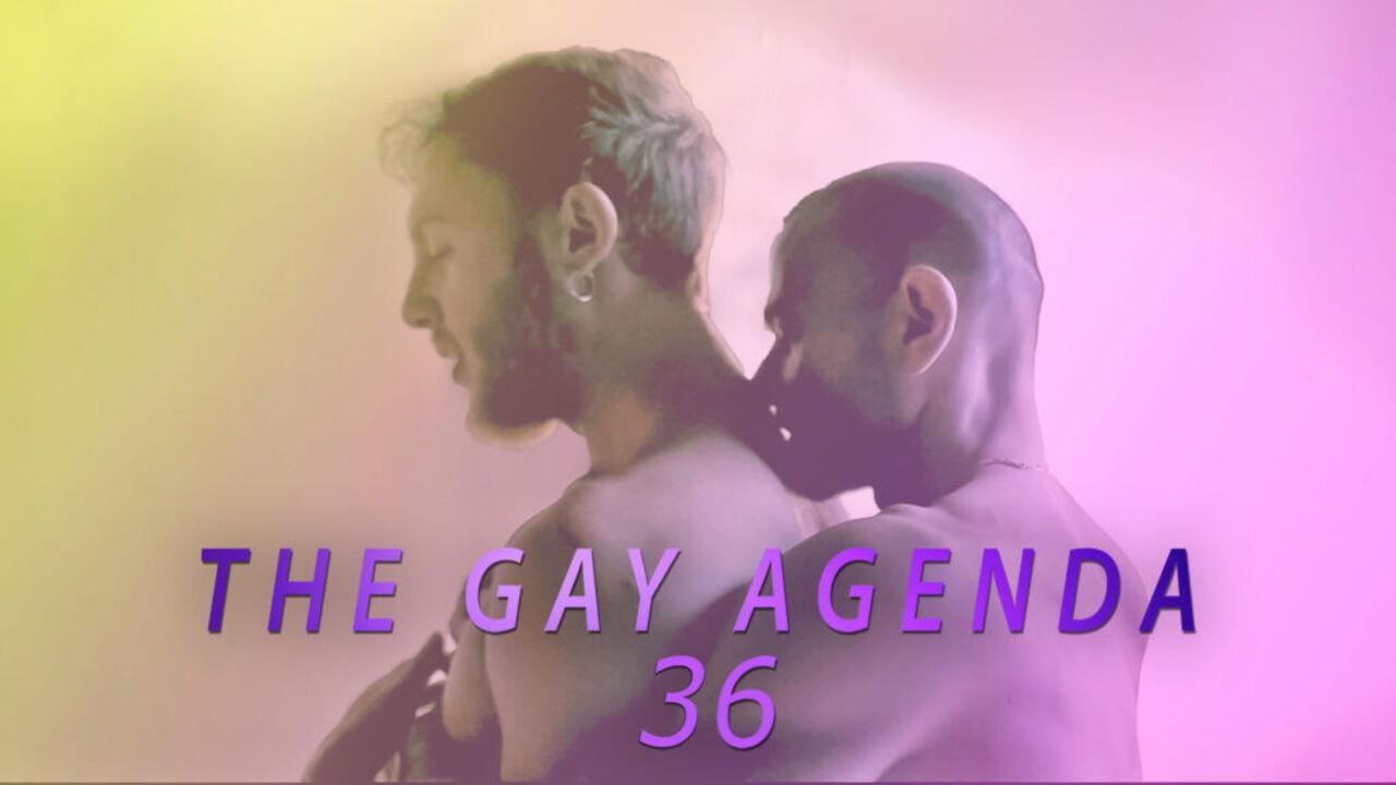 The Gay Agenda 36 backdrop
