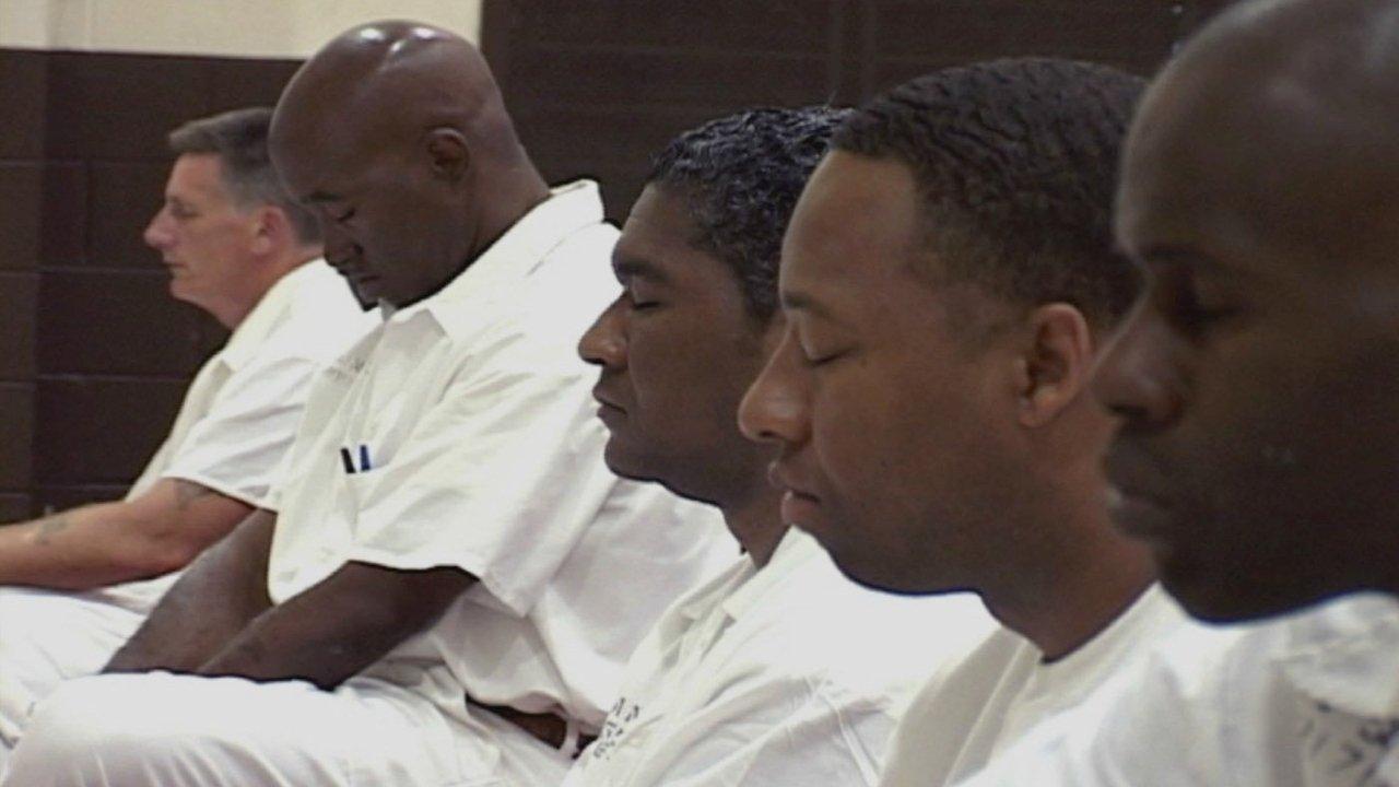 The Dhamma Brothers backdrop