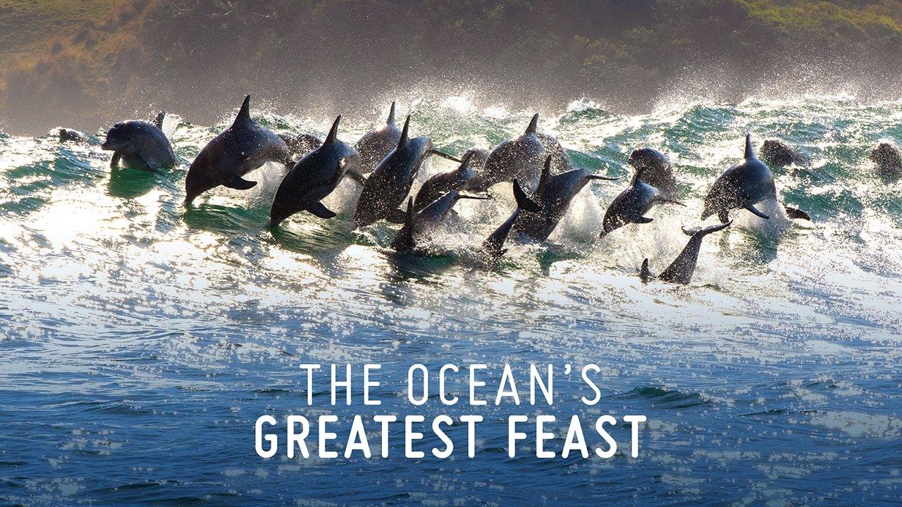 The Ocean’s Greatest Feast backdrop