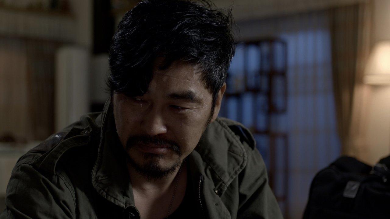 Dogs in the House backdrop