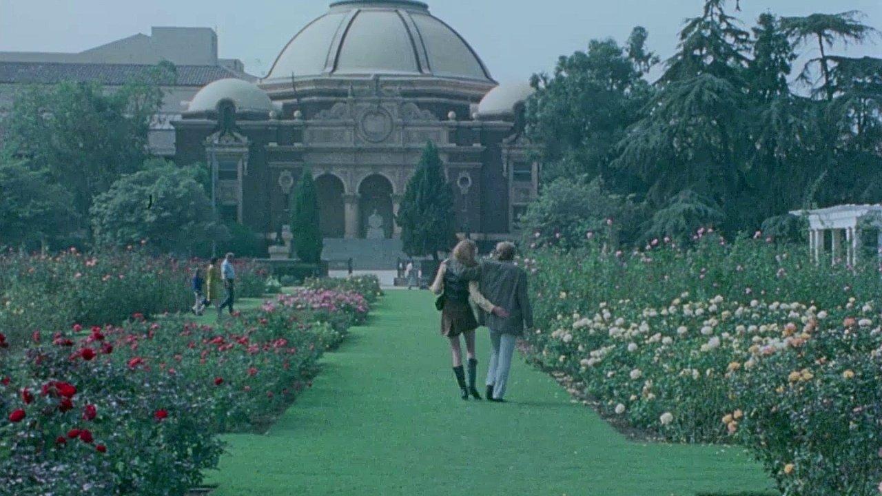 Sexual Liberty Now backdrop