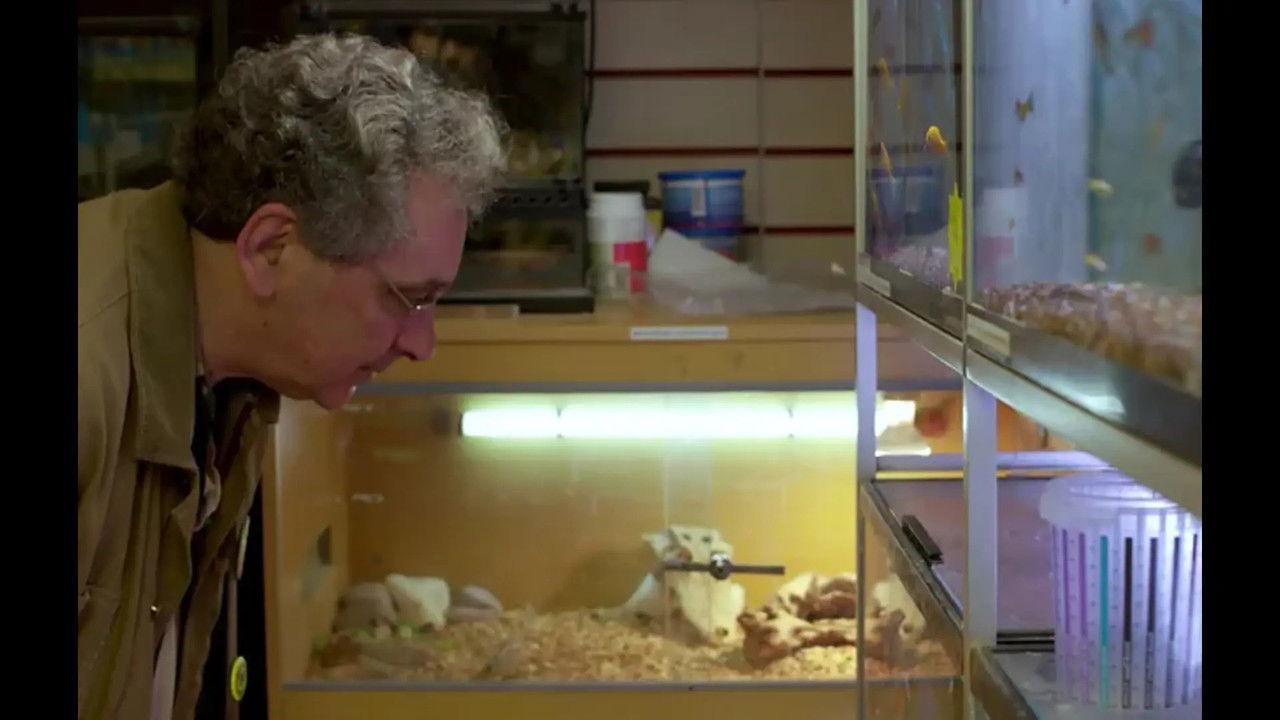 Ralph and Goldfish backdrop