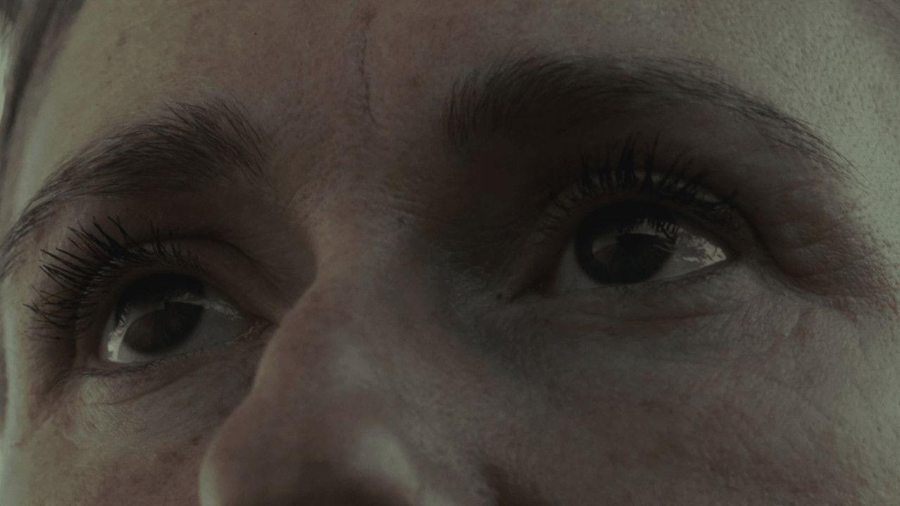 The Border at Tolstoi backdrop