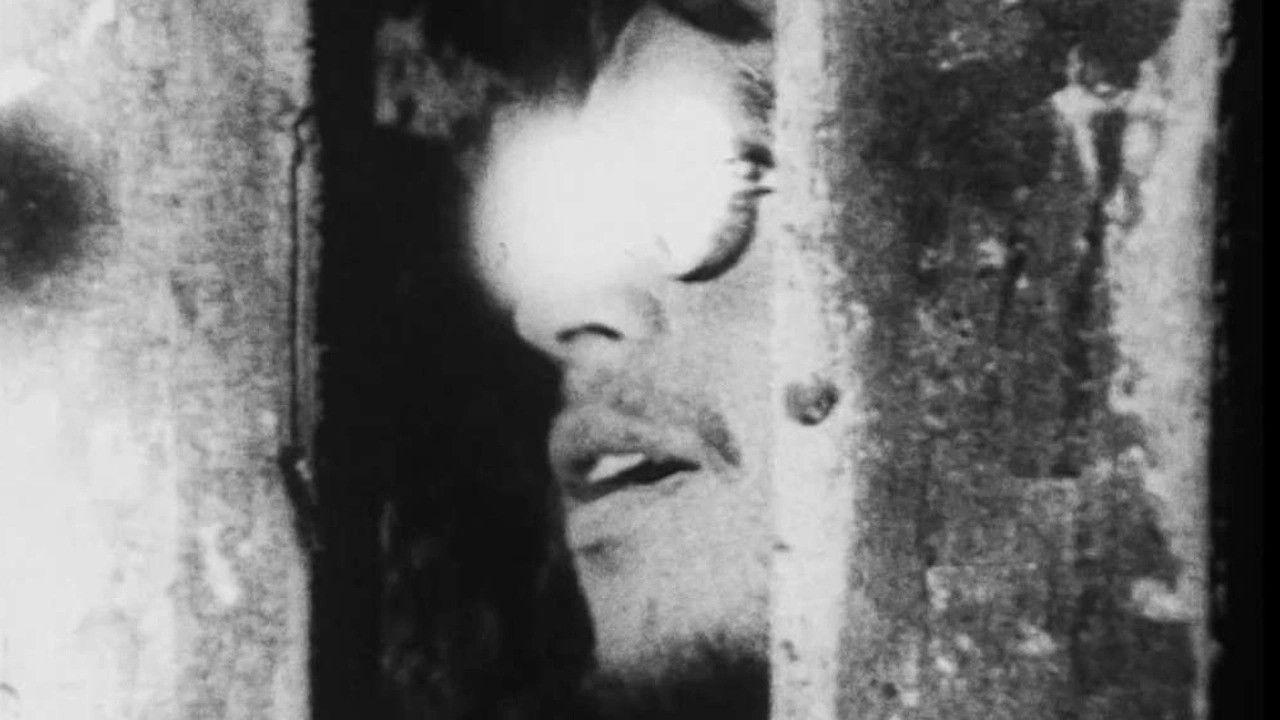 I Stared Fire Forever backdrop