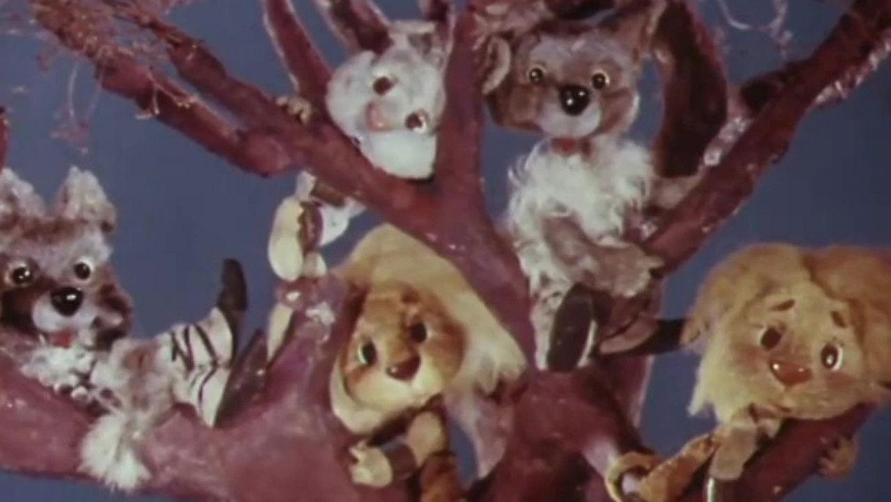 Teddy Bear Buthuz backdrop