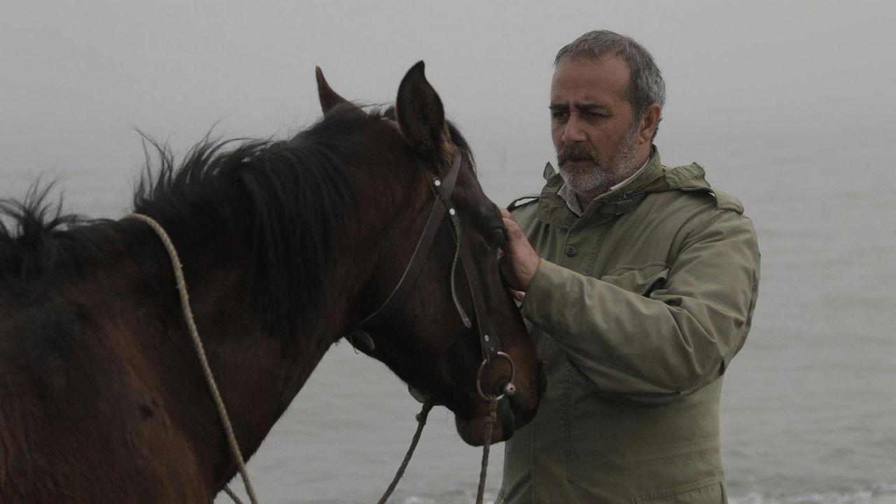 The Charcoal backdrop