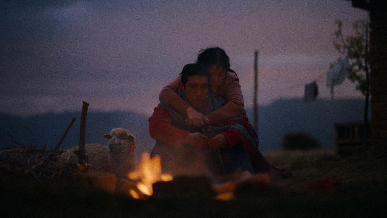 Sheep and Wolves backdrop