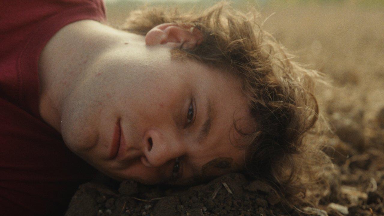 Wildmenschen backdrop