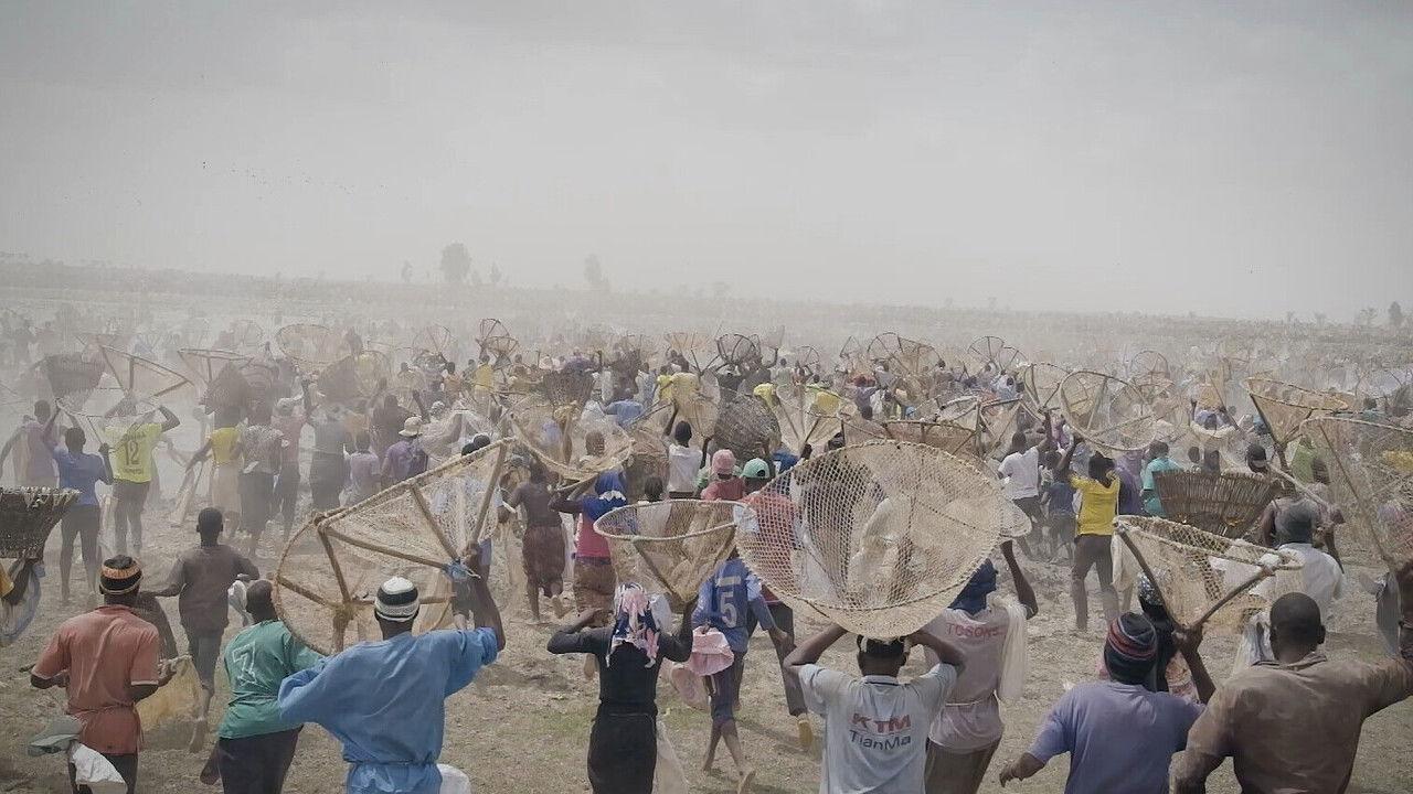 I bɔyɔrɔ, d’où viens-tu ? backdrop