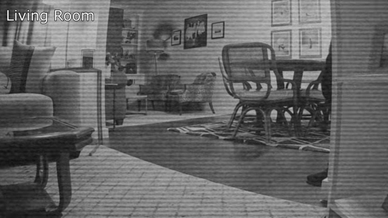 My House Is Haunted backdrop