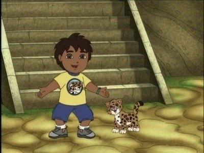 The Great Jaguar Rescue!