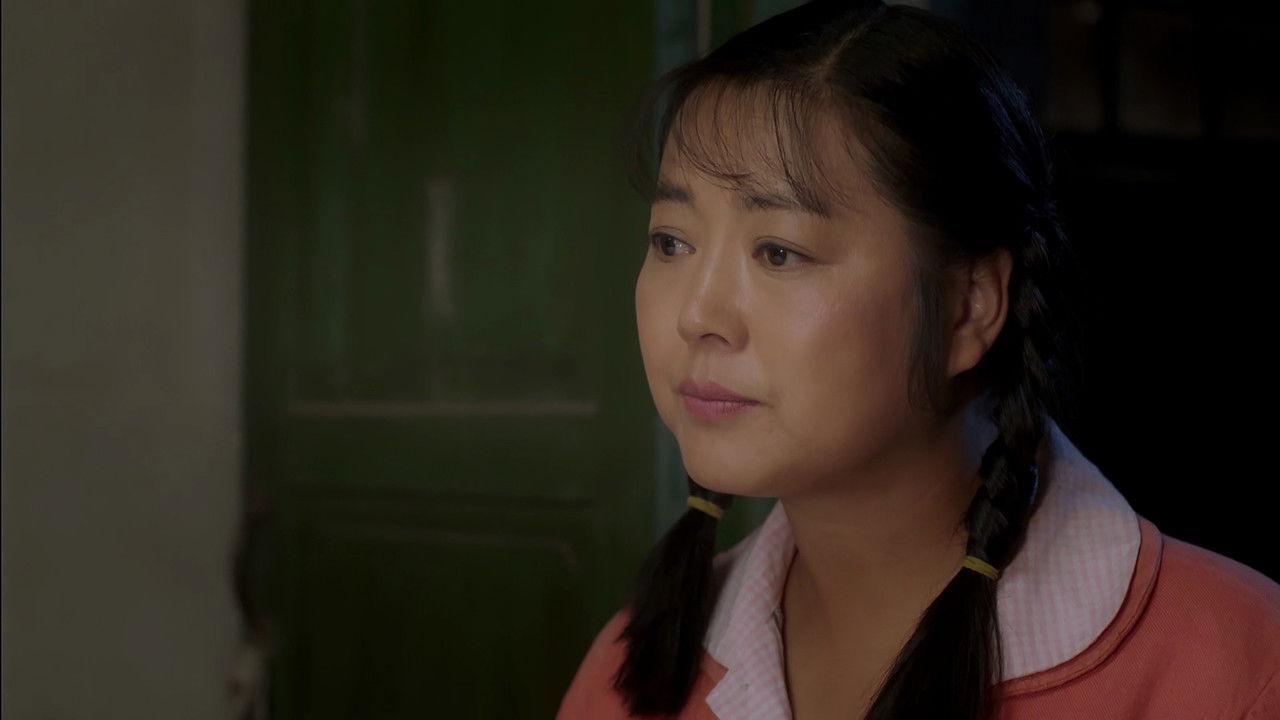 岁岁年年柿柿红 backdrop