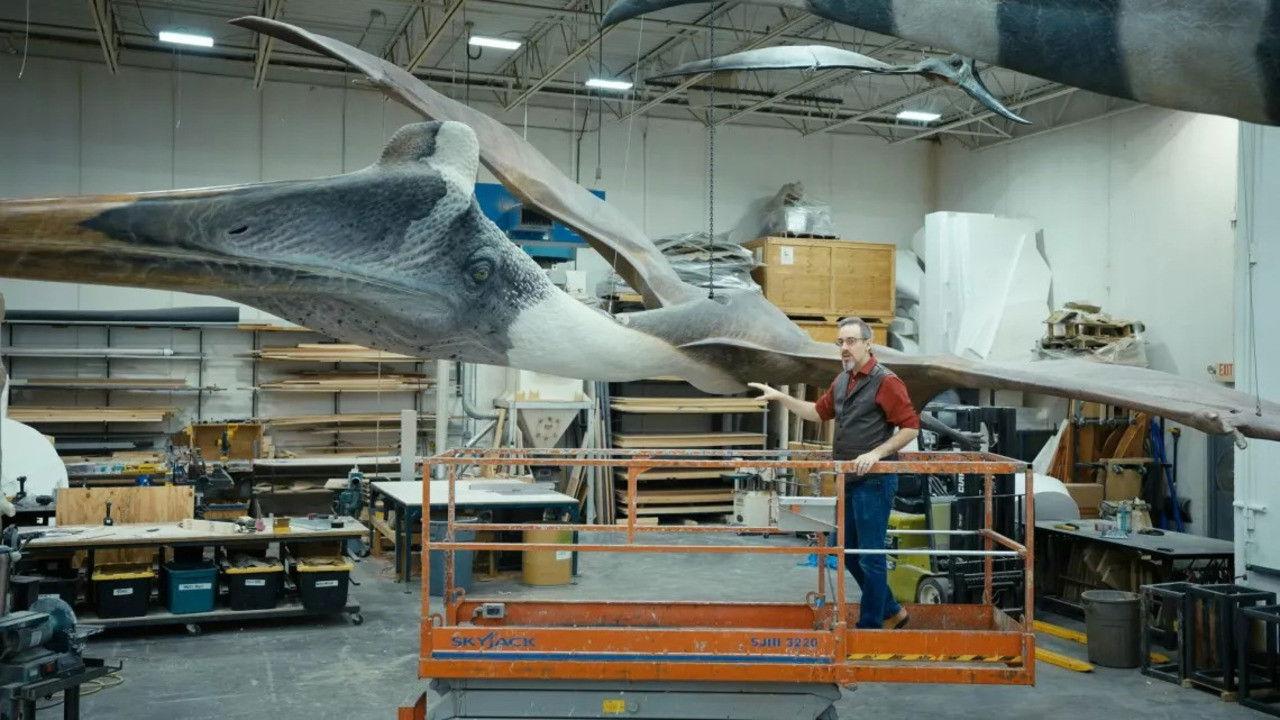 Le rêve de Léonard : Les secrets du vol dans la nature backdrop