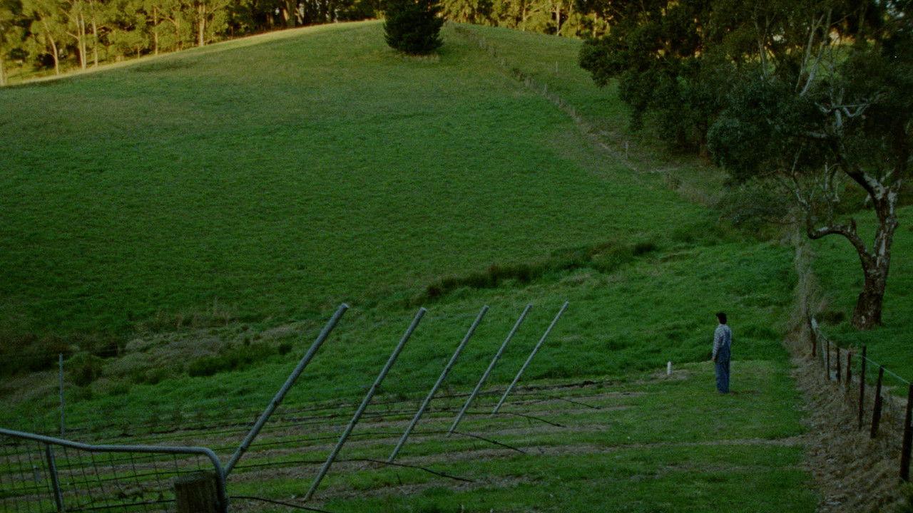 Does It Come With a Warranty? backdrop