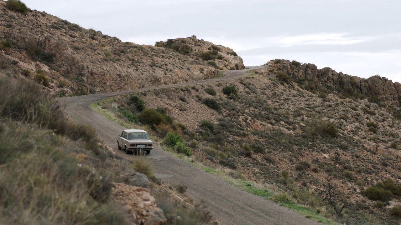 Bajo la palmera backdrop