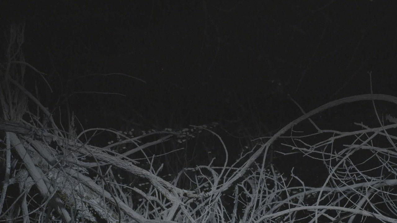 All the Planets in My Heart backdrop