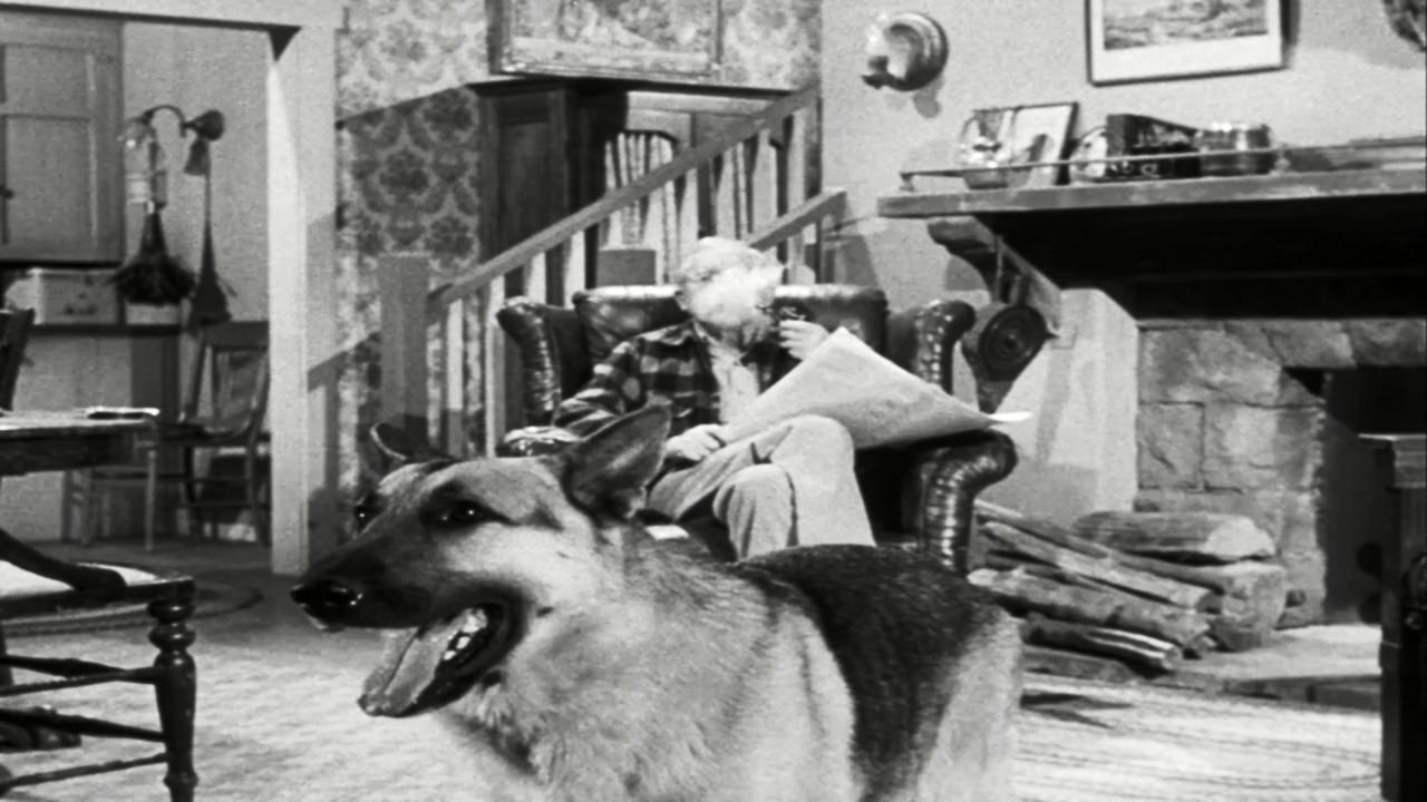 The Case of the Lazy Lover