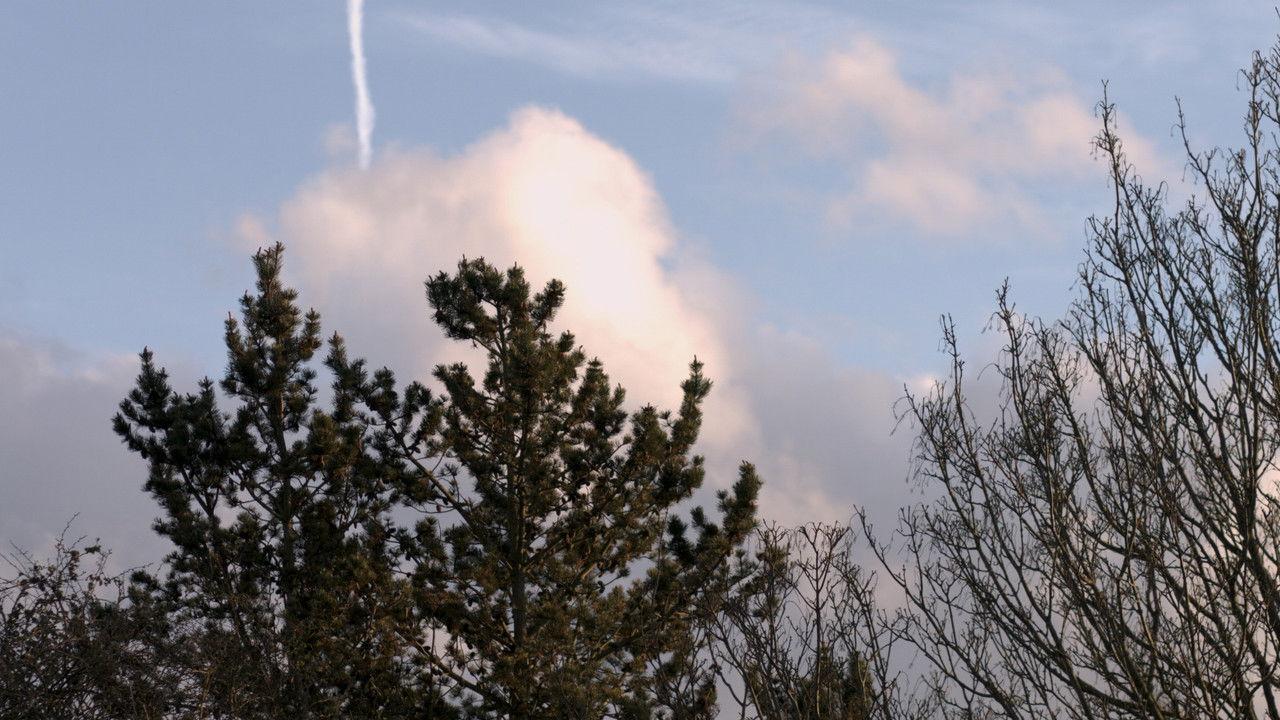 Martin's Methods backdrop