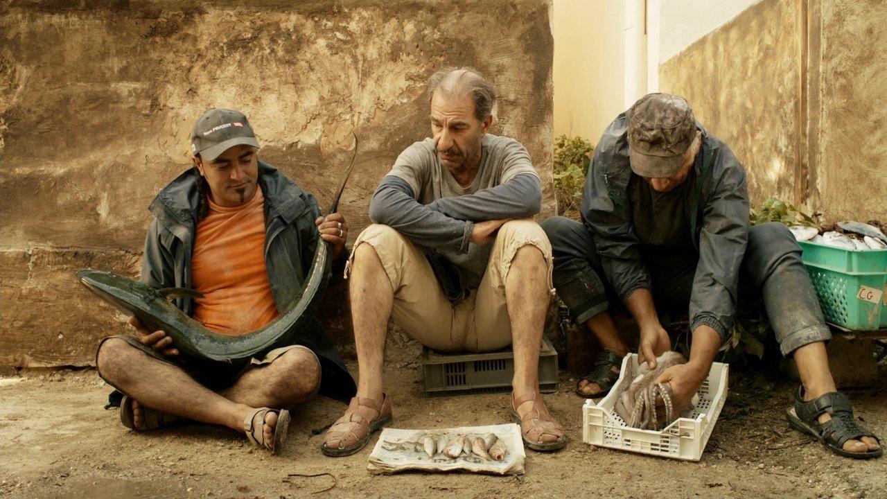 When Pigs Have Wings backdrop