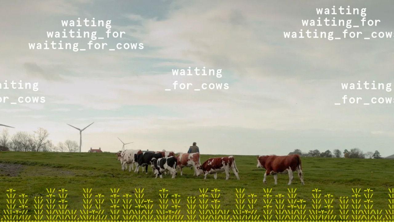 waiting_for_cows backdrop