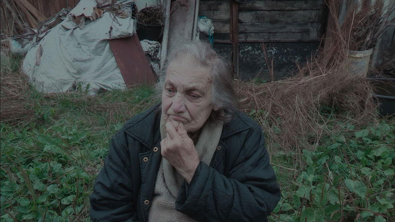 Elusive Landscapes backdrop