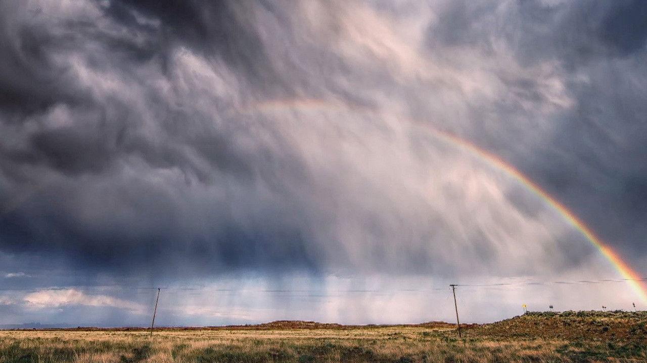 Wild Weather Special