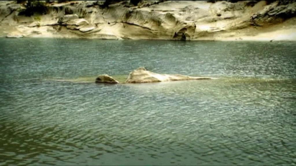 The Bridge Over the River Zzzzzeee