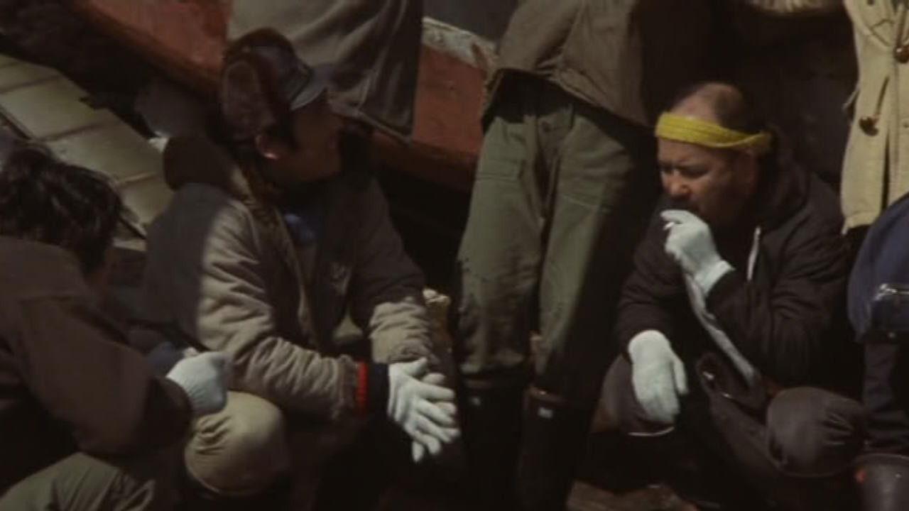 Light of Africa backdrop