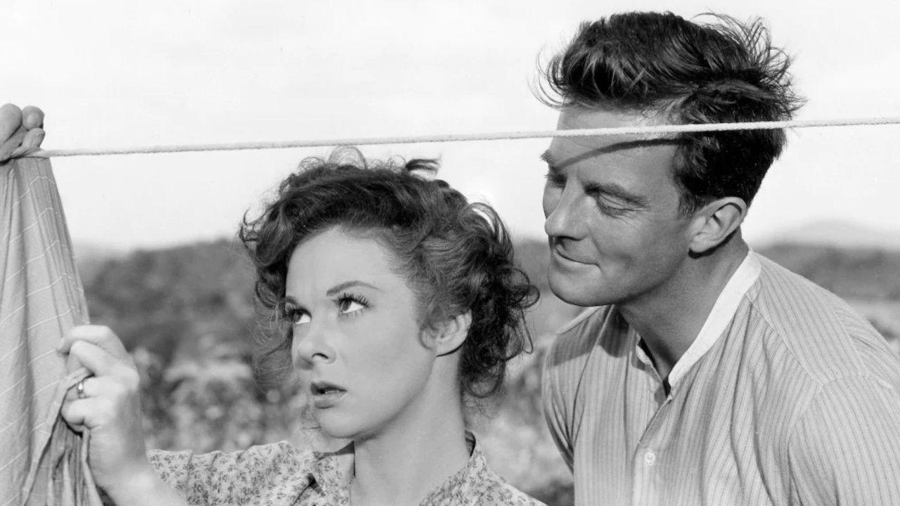 I'd Climb the Highest Mountain backdrop