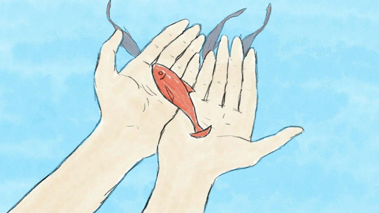 Bowl, Paper, Fish backdrop