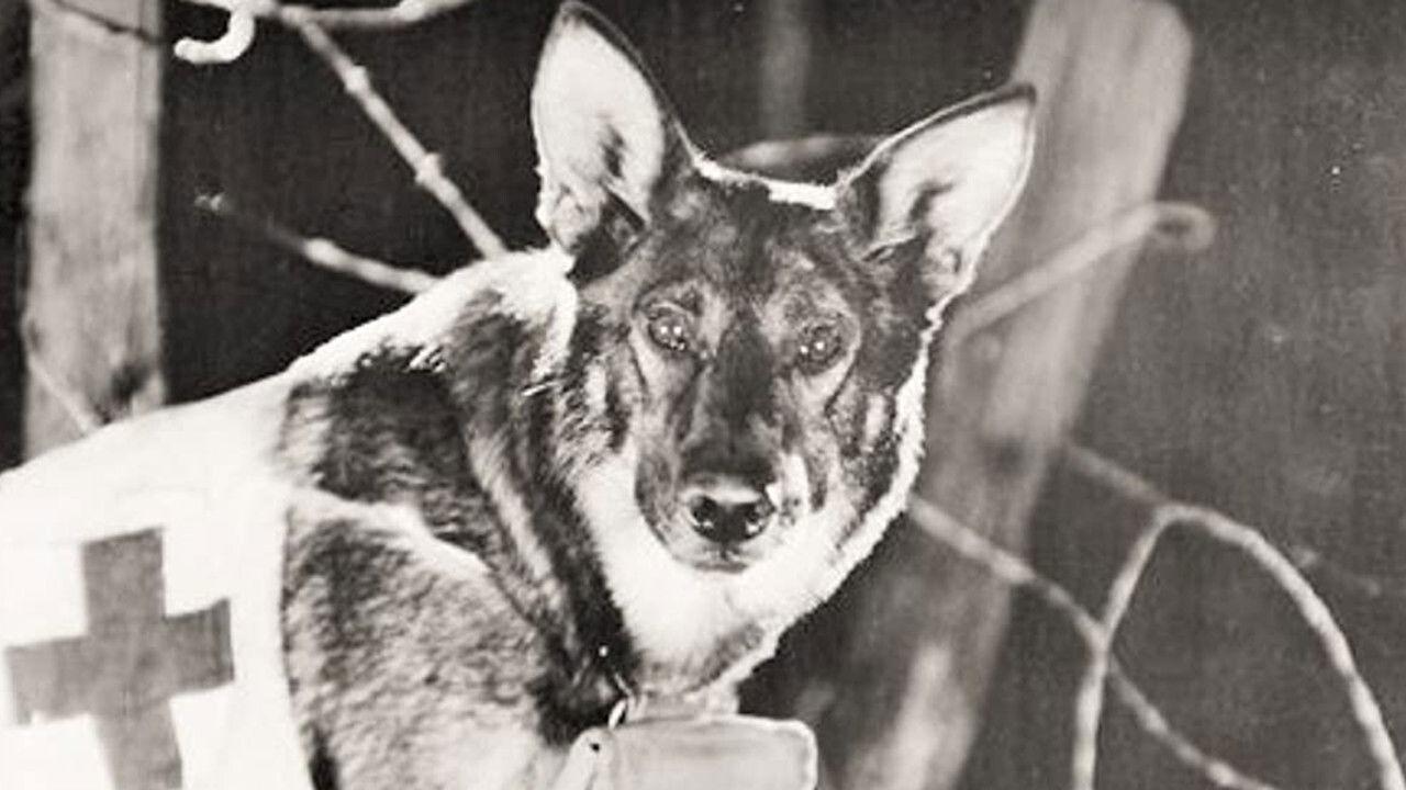 Find Your Man backdrop