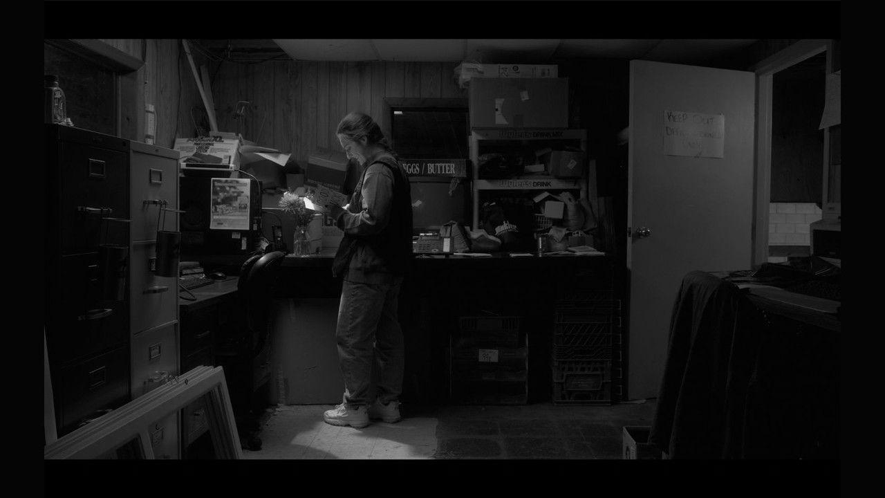 Me and My Shadow backdrop