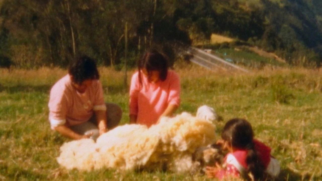 When They Left, All that Remained was a Small Noise in the Mountain backdrop