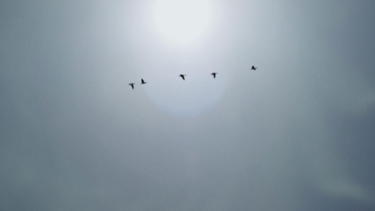 A Place to Hide backdrop