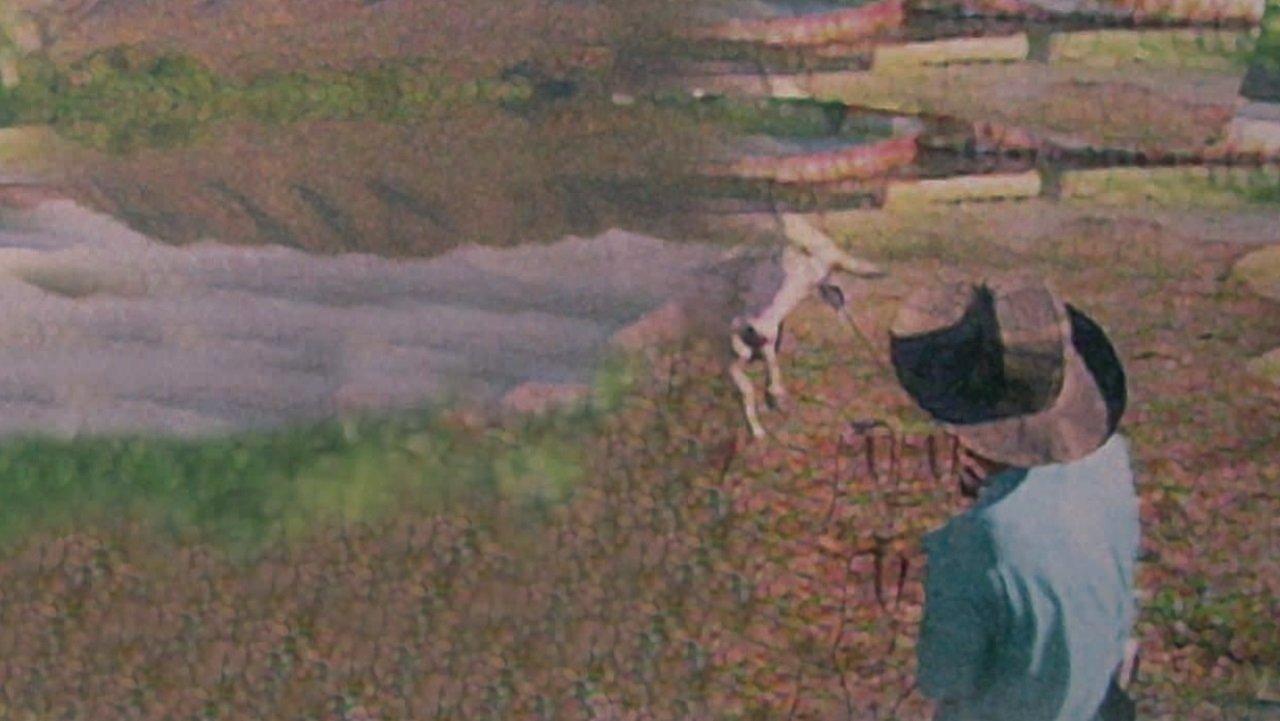 Pantanal: The Waters of Life backdrop